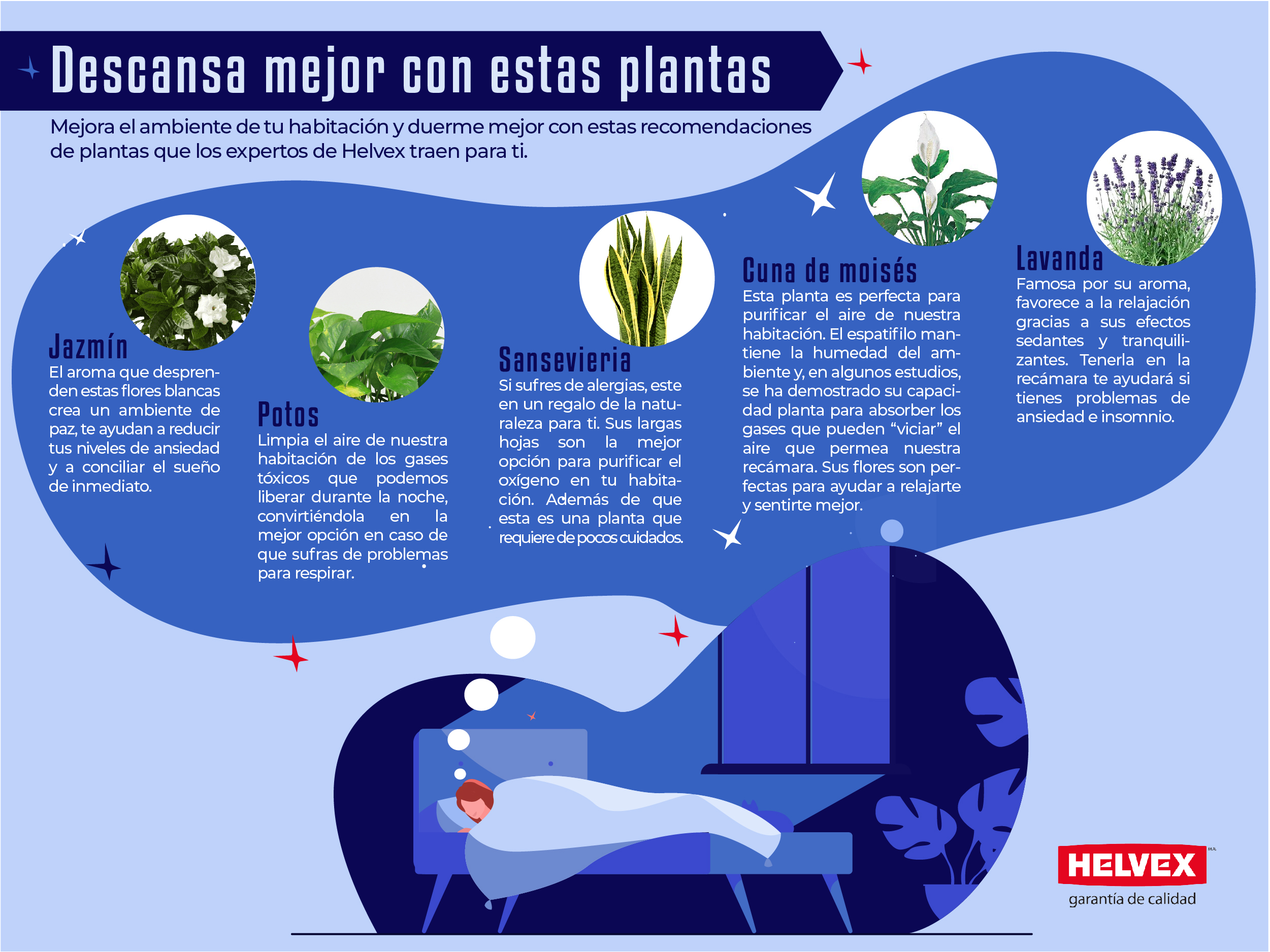 Cuida plantas y duerme mejor
