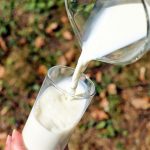 Día Mundial de la Leche