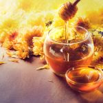 Abejas: ¡Pequeñas, pero con gran impacto!