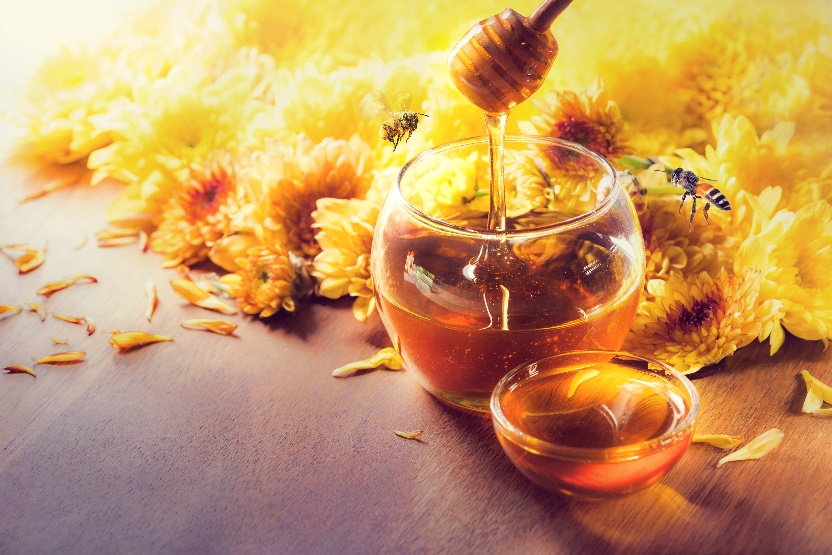 Abejas: ¡Pequeñas, pero con gran impacto!