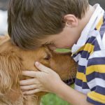 Muerte de una mascota, ¿qué decirle a nuestros peques?